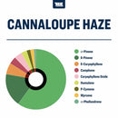 True Terpenes - Cannalouple Haze - 5mL