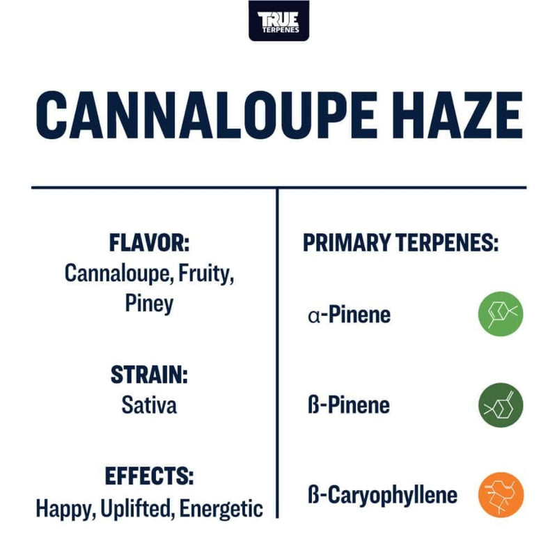 True Terpenes - Cannalouple Haze - 5mL