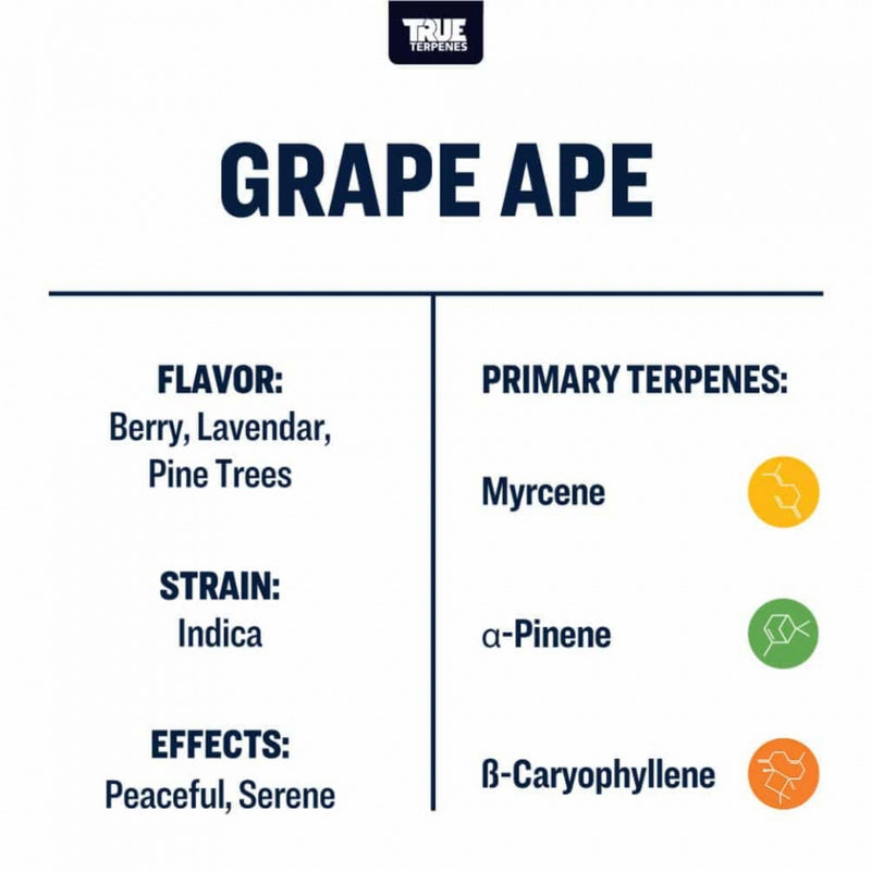 True Terpenes - Grape Ape - 5mL