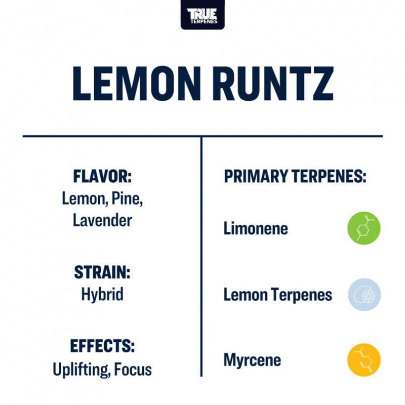 True Terpenes - Lemon Runtz - 5mL