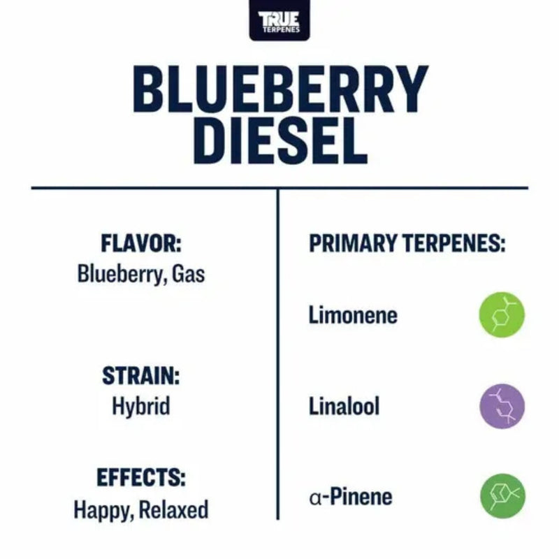 True Terpenes - Live Alchemy - Blueberry Diesel - 5mL
