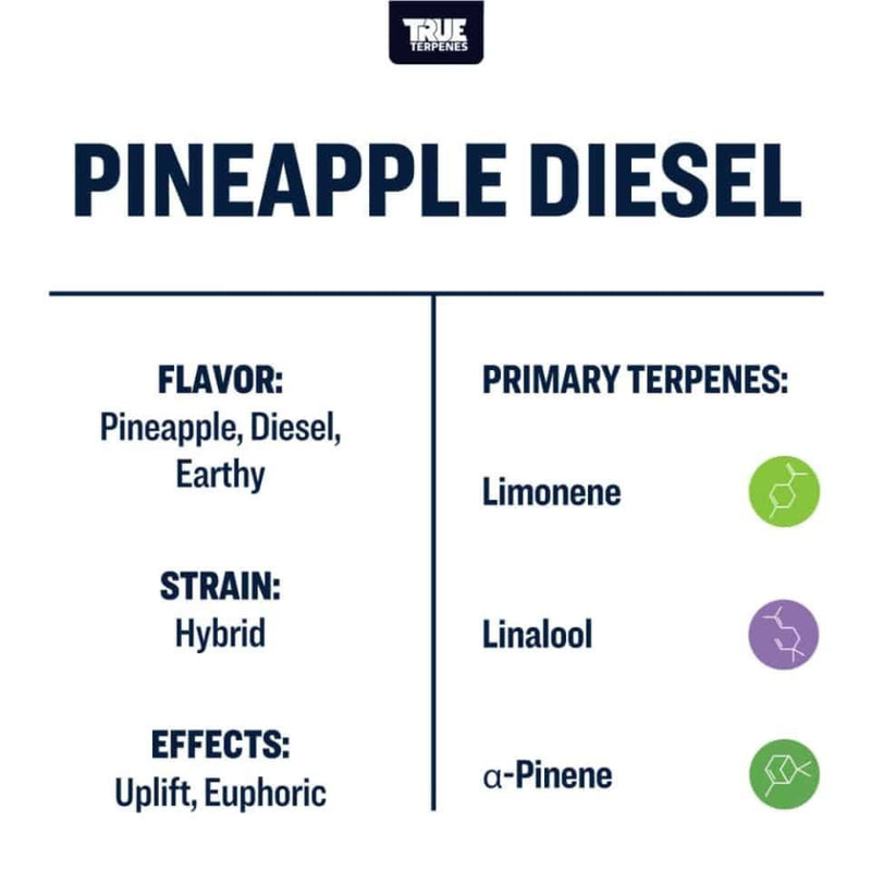True Terpenes Live Alchemy Pineapple Diesel - 5mL