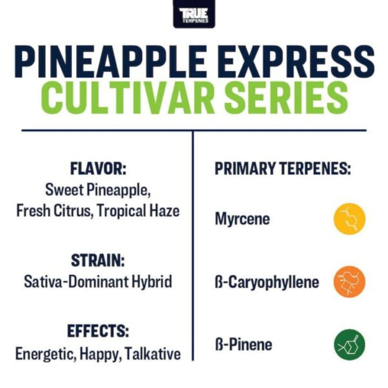 True Terpenes Pineapple Express - 5mL