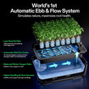 Vivosun Vseed S40 Smart Seedling Box
