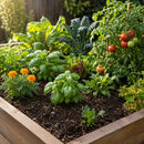 Easy As Organics Water Only Living Soil 25L