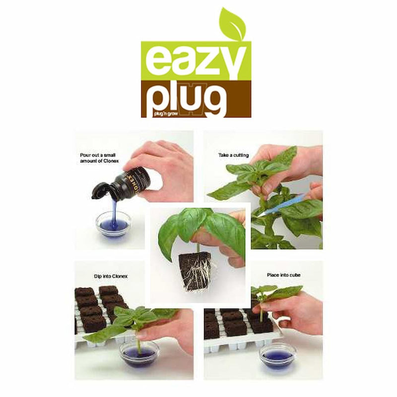 Eazy-Plug Coco Peat Plug & Grow Propagation Tray - 24 Cubes