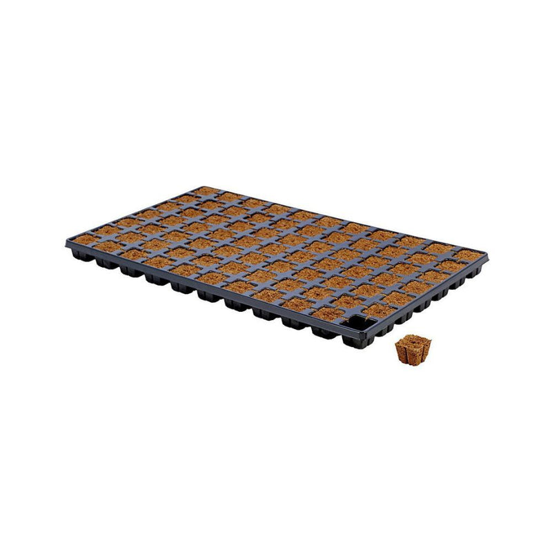 Eazy-Plug Coco Peat Plug & Grow Propagation Tray - 77 Cubes