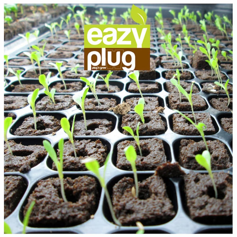 Eazy-Plug Coco Peat Plug & Grow Propagation Tray - 77 Cubes