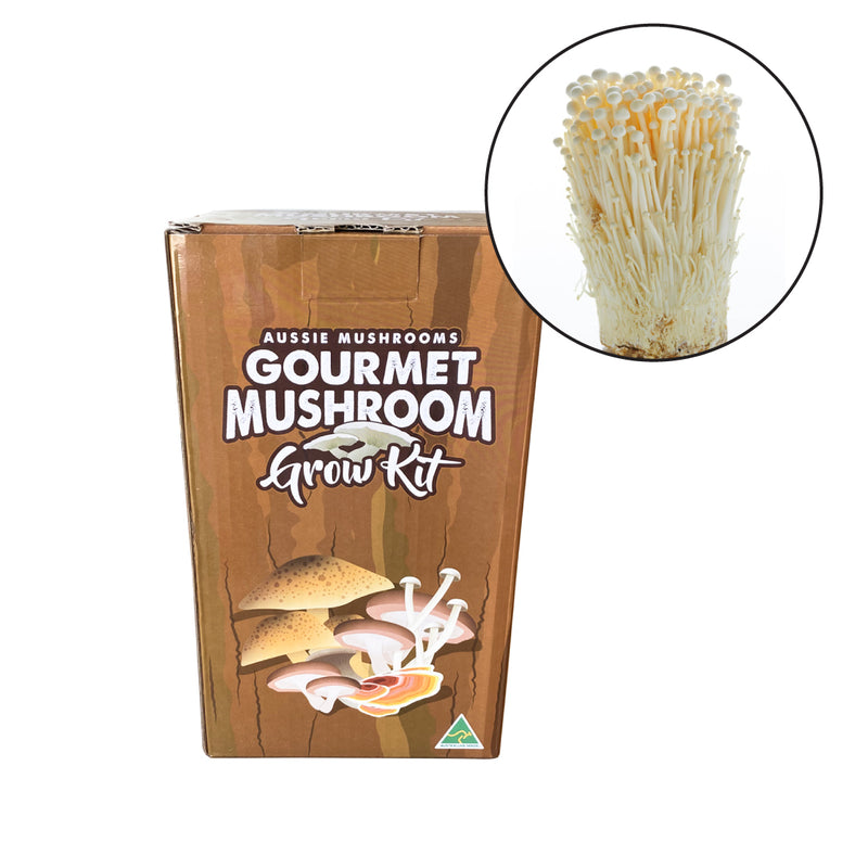 Enoki - Aussie Mushroom Kit