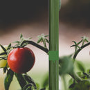 AC Infinity Green Twist Ties With Built-In Cutter - 100m