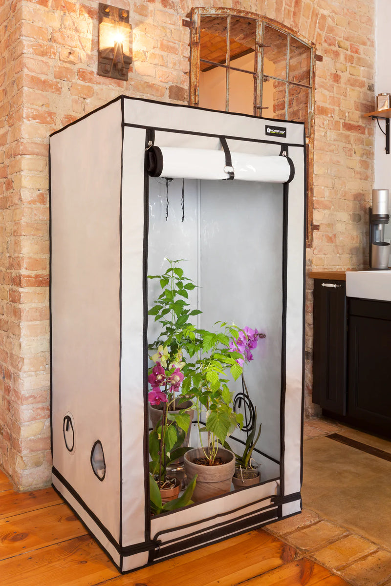 grow tent homebox Homebox Ambient Q100 Grow Tent