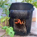 Heavy Duty Potato Grow Bags - 38L (10 Gallon)