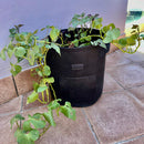 Heavy Duty Potato Grow Bags - 38L (10 Gallon)