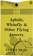 Aphids, Whitefly & Other Flying Insects - Sticky Traps (6 pack)