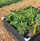 GeoPlanter (91.5cm x 91.5cm x 30.5cm)