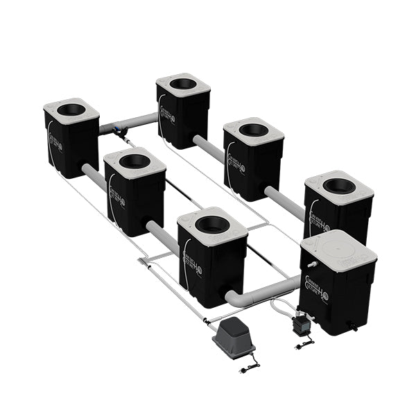 Current Culture UC 6 XXL 13 System