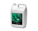 Cyco Platinum Series B1 Boost (250mL,1L, 5L or 20L)