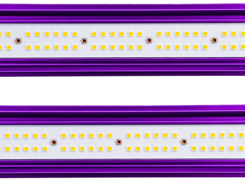 Lumatek Zeus 1000W Xtreme C02 Light Bar