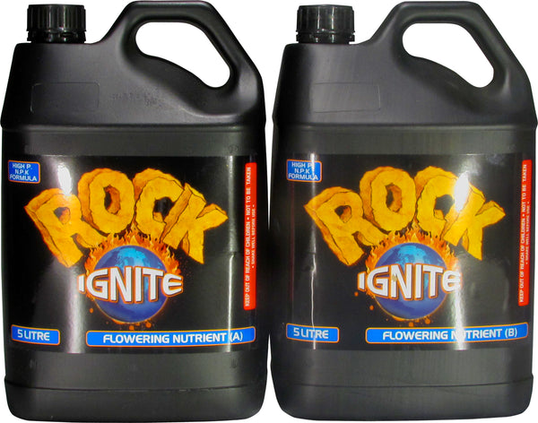 Rock Ignite Bloom A&B 5 L