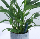 Ibebot Soil Quality Monitor & EC meter Pen