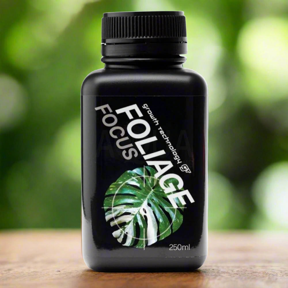 gt focus on foliage plant fertilizer Foliage Focus | Buy GT Foliage Focus Australia