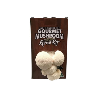 Lions Mane Mushroom kit