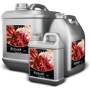 Cyco Platinum Series Potash Plus (250mL,1, 5 or 20L)