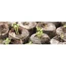 Jiffy-7 42 mm Pellet (1000) Carton